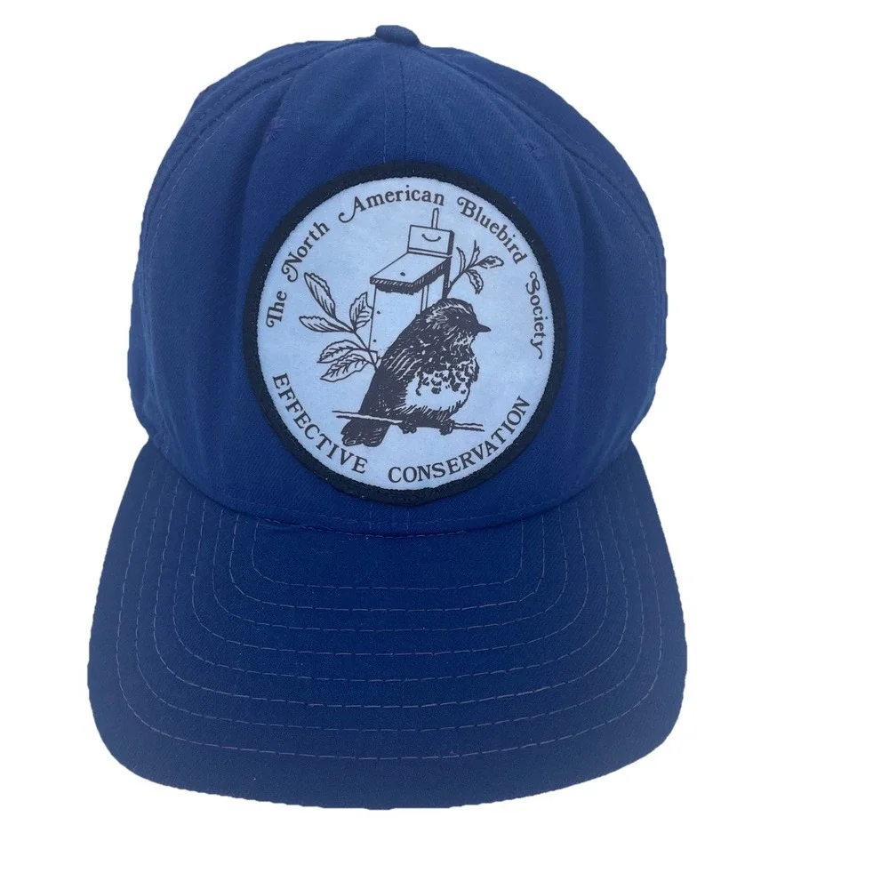 Vintage Trucker Hat Blue Snapback American Bluebird Society New Era DuPont Visor